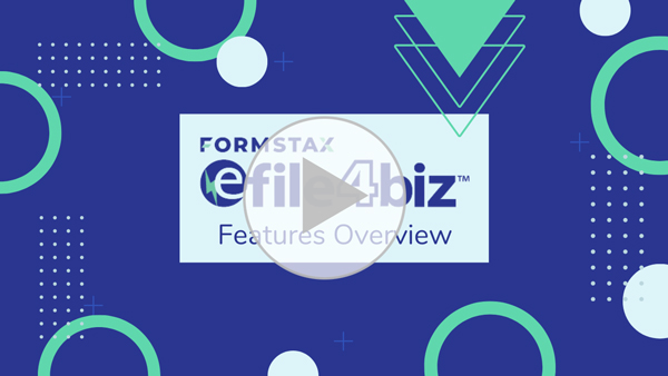 2023 efile4Biz Features